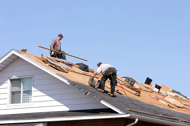 Best Solar Panel Roofing Installation  in Spurgeon, TN